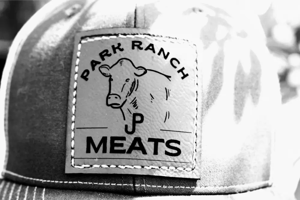 playzone gcash download